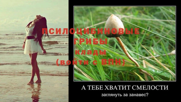 прущая мука Гусь-Хрустальный