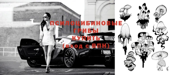 прущая мука Гусь-Хрустальный